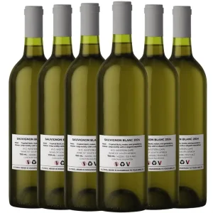 Sauvignon Blanc 2025 - Stellenbosch