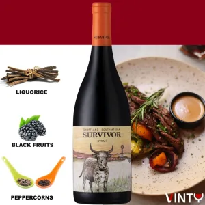 Survivor-Terroir-Syrah-2023 Tasting Profile